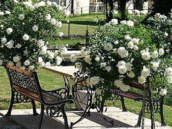 Hotel La Chaum'Yerres Chaumes-en-Brie Exterior photo